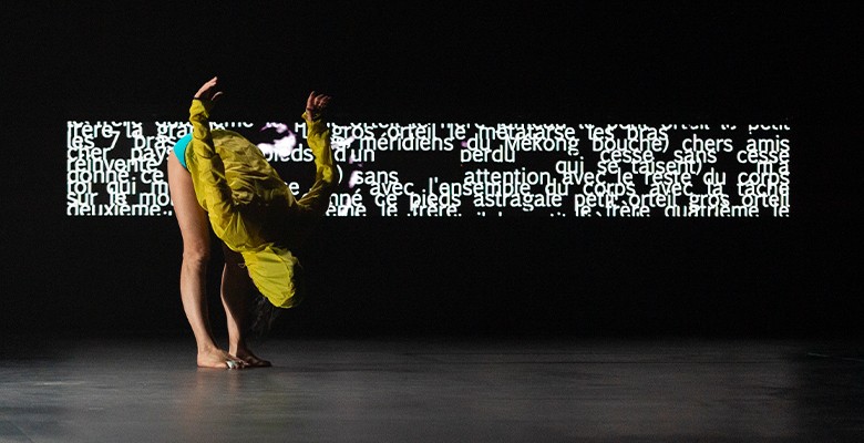 web__0027_-marc-domage-nuee-au-theatre-de-nimes-_d4s8756