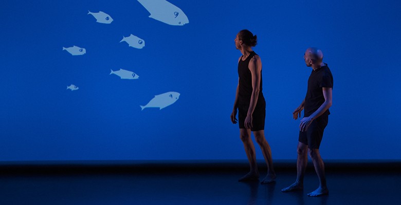 © David Heidelberger