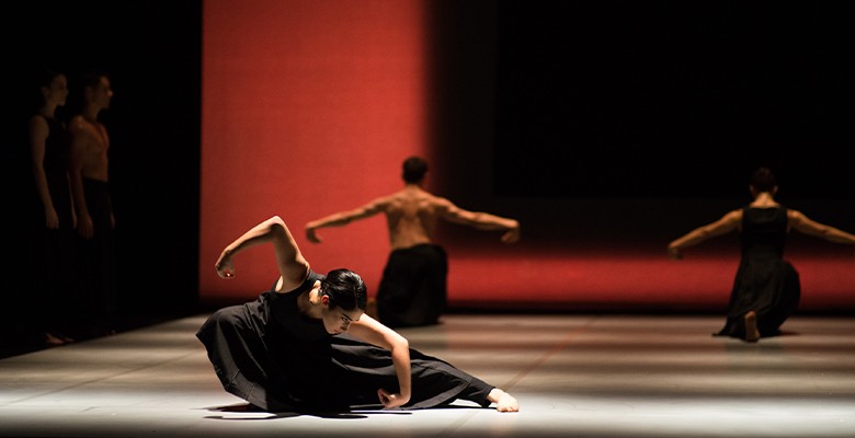 IT DANSA - Kaash © Franck Thibault