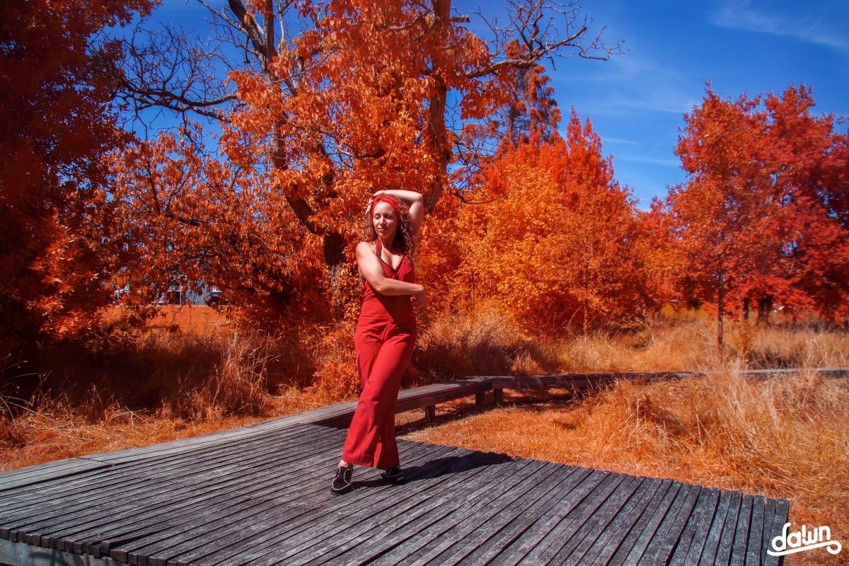 mg_2908-taille-reduite